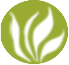 Logo Naturheilpraxis Klaus Wührer